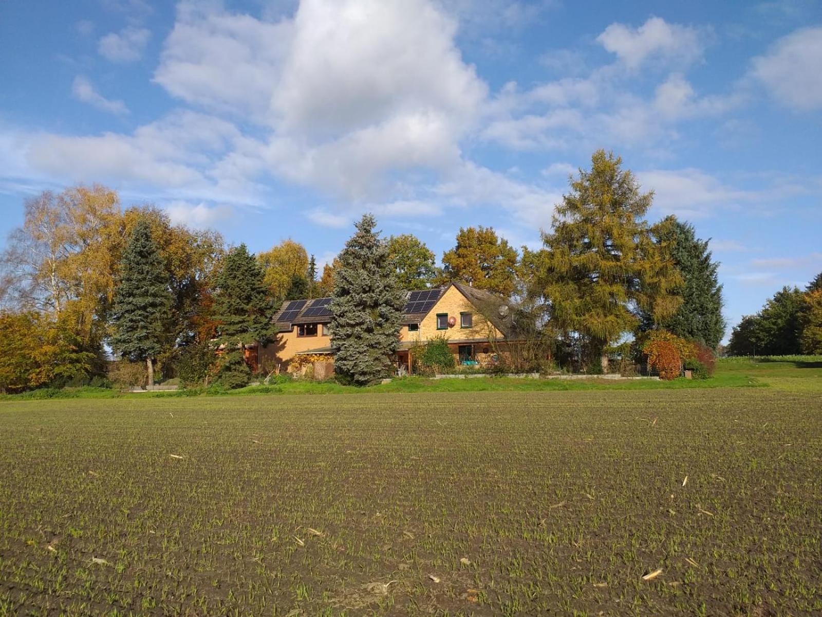 Gabis Ferienwohnung Bendingbostel الغرفة الصورة